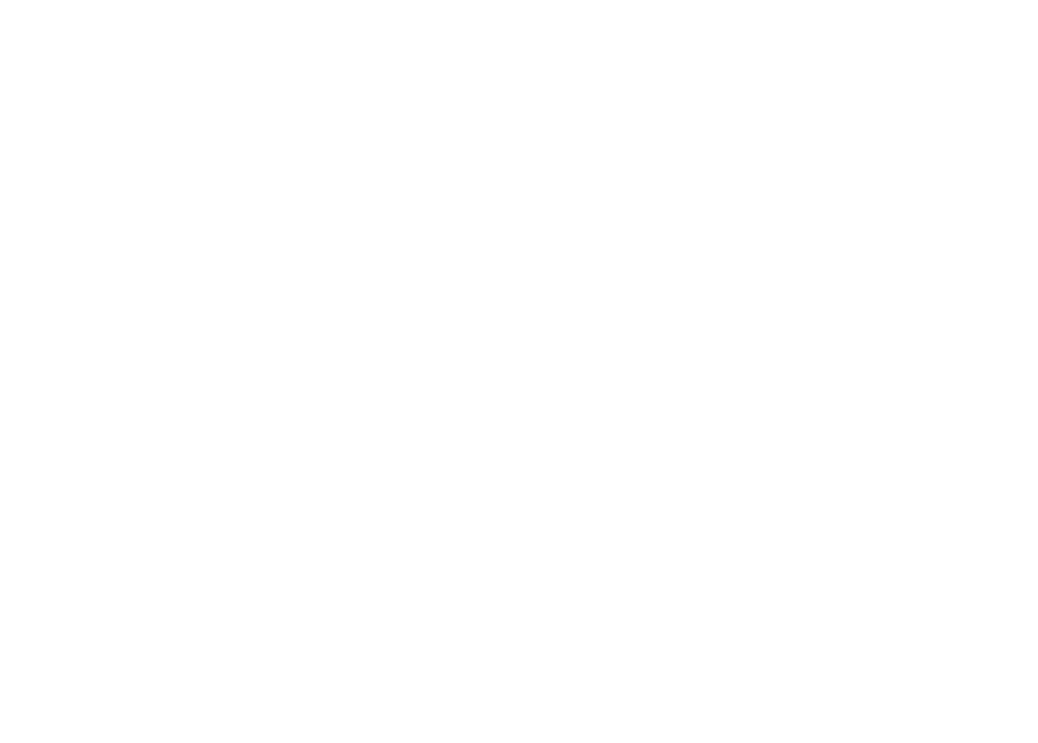 dalton state logo